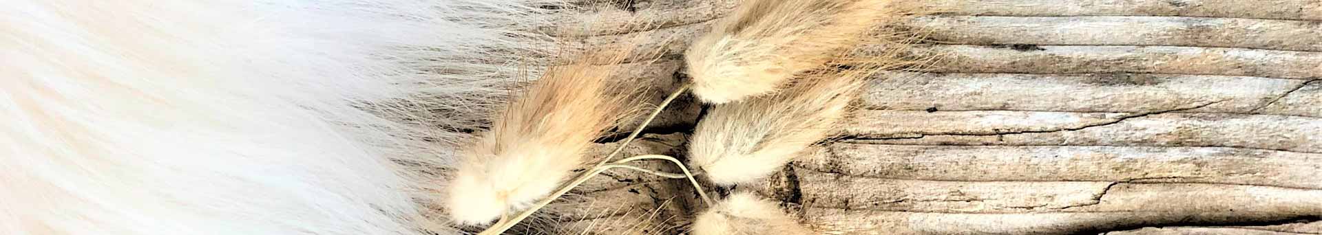 ambiance archive blog