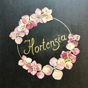 tableau hortensia 2