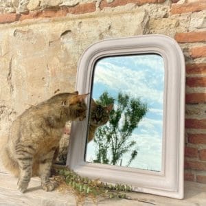 miroir louis philippe 2