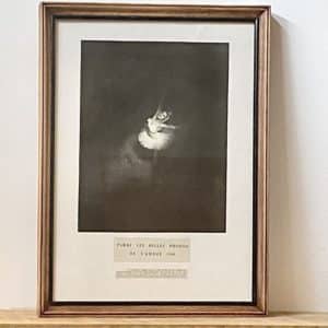 cadre danseuse étoile